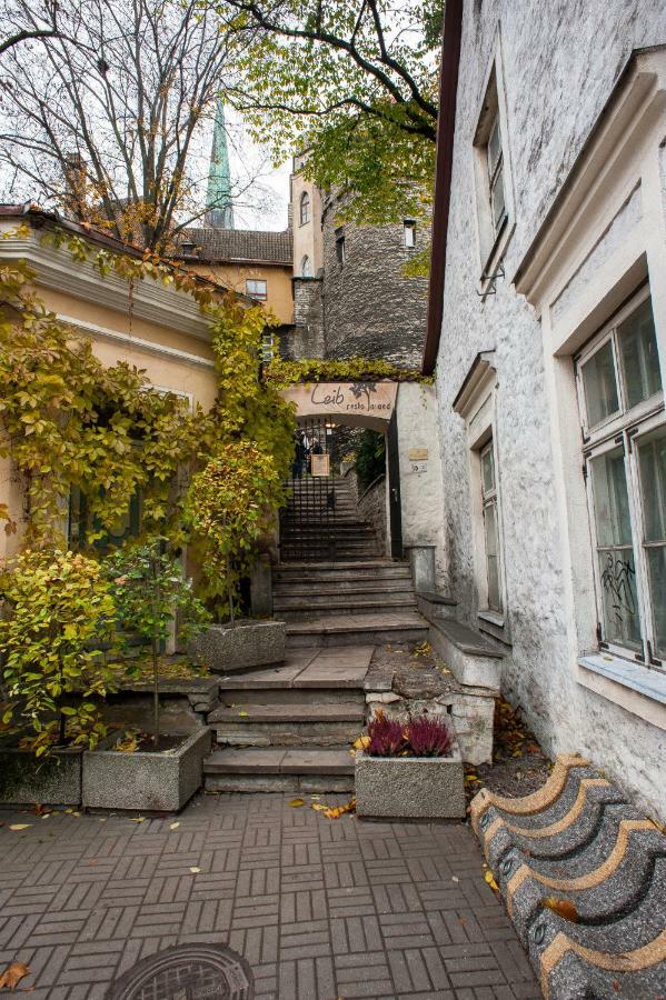 Baltic Accommodation 1 - Rumbi 4-36 Tallinn Dış mekan fotoğraf